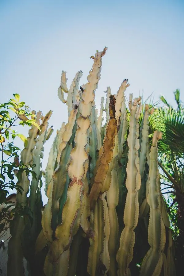 Casa Del Canto, Calapanizo Villa Cuevas del Almanzora
